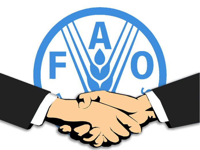 fao