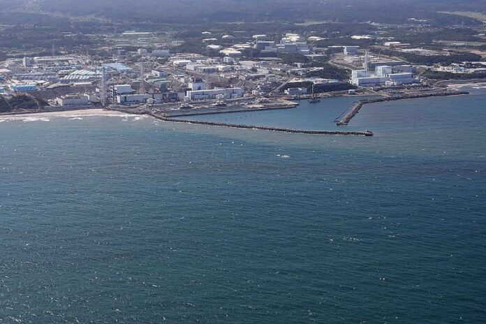 Kineski i japanski stručnjaci održali novi krug dijaloga o ispuštanju nuklearne vode iz Fukushime