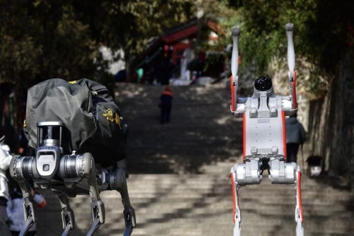 Robotski psi na Taishanu