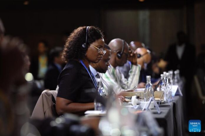 Konferencija o partnerstvu Kine i Afrike naglašava suradnju za zajedničko globalno upravljanje
