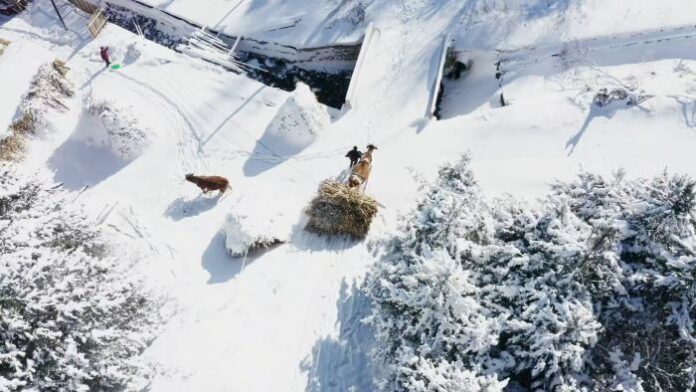 Zimski mir u Snježnom selu Songling
