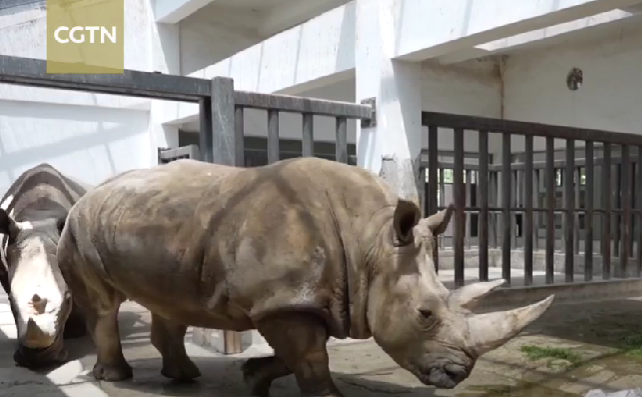 ZOO
