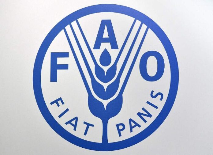 Kinesko izaslanstvo sudjelovalo na 37. zasjedanju Odbora FAO-a za ribarstvo